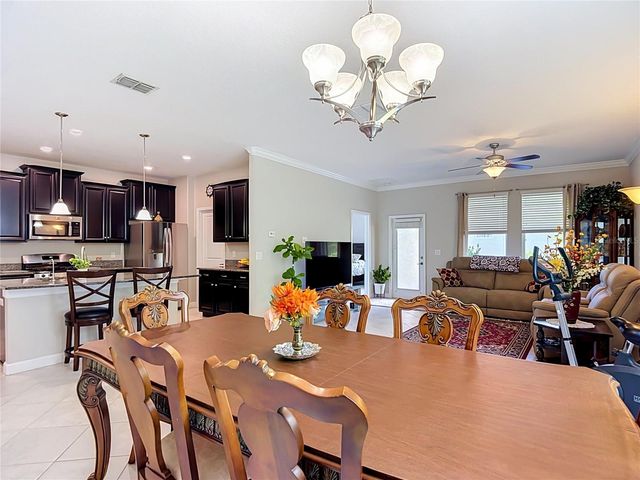 17488 TERRAZZO WAY, Land O Lakes, FL 34638
