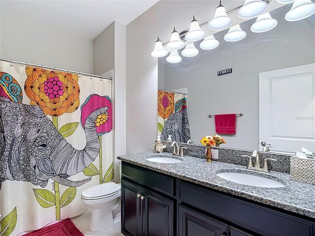 17488 TERRAZZO WAY, Land O Lakes, FL 34638