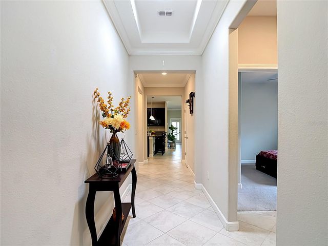 17488 TERRAZZO WAY, Land O Lakes, FL 34638