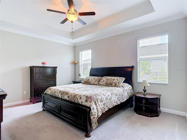 17488 TERRAZZO WAY, Land O Lakes, FL 34638