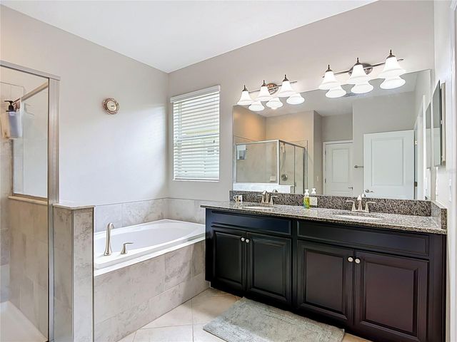 17488 TERRAZZO WAY, Land O Lakes, FL 34638