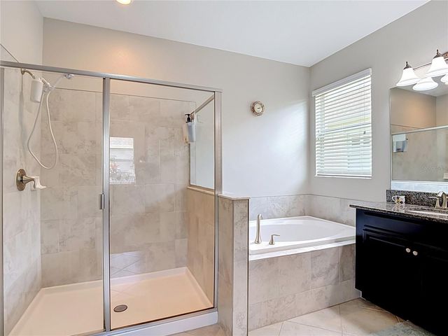 17488 TERRAZZO WAY, Land O Lakes, FL 34638