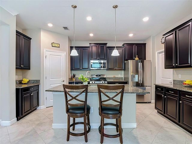 17488 TERRAZZO WAY, Land O Lakes, FL 34638