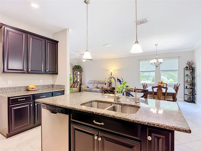 17488 TERRAZZO WAY, Land O Lakes, FL 34638