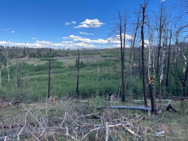 968 Hunington Lane, Fort Garland, CO 81133
