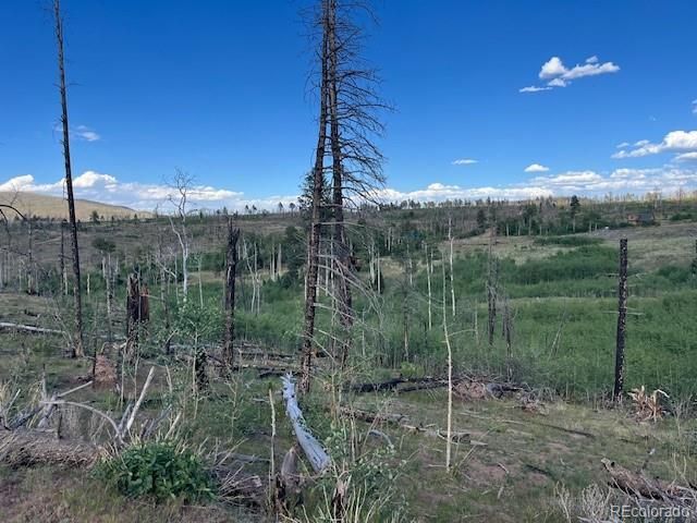 968 Hunington Lane, Fort Garland, CO 81133