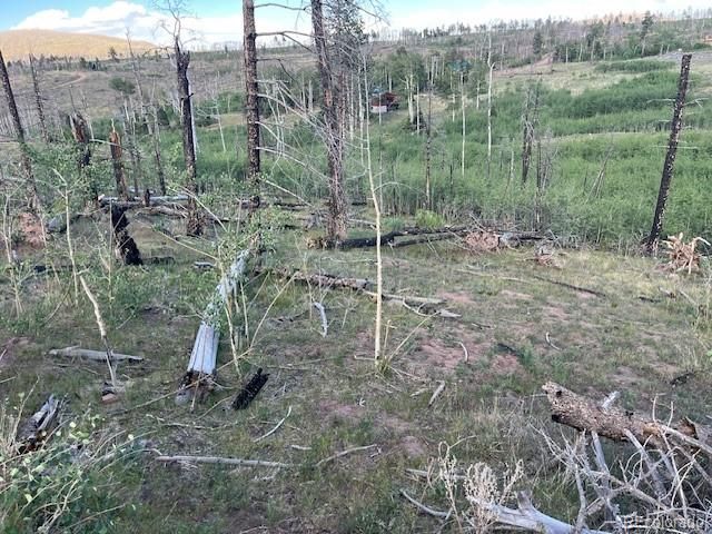 968 Hunington Lane, Fort Garland, CO 81133