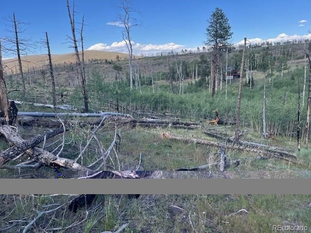 968 Hunington Lane, Fort Garland, CO 81133