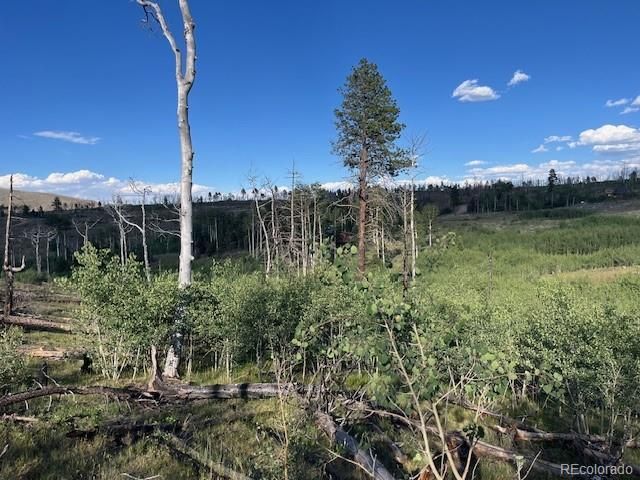 968 Hunington Lane, Fort Garland, CO 81133