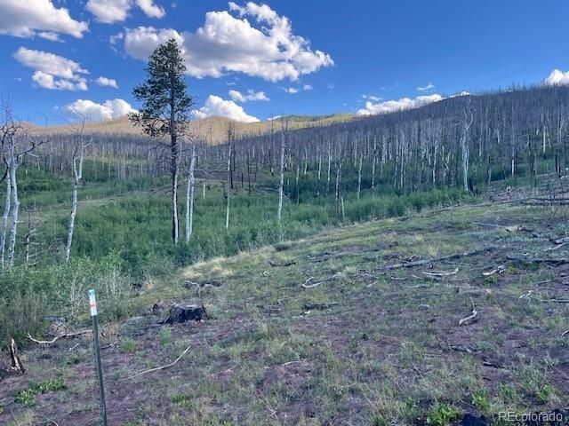 968 Hunington Lane, Fort Garland, CO 81133