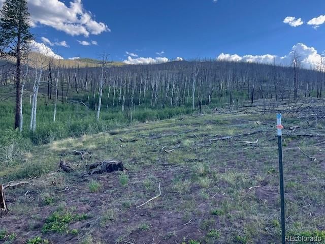 968 Hunington Lane, Fort Garland, CO 81133