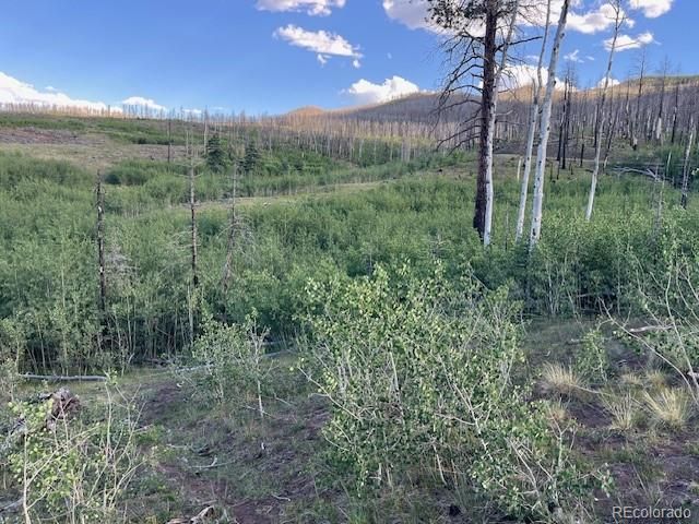 968 Hunington Lane, Fort Garland, CO 81133