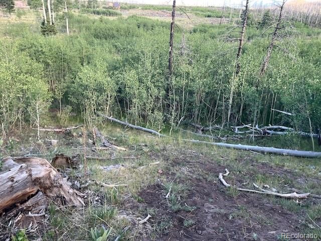 968 Hunington Lane, Fort Garland, CO 81133