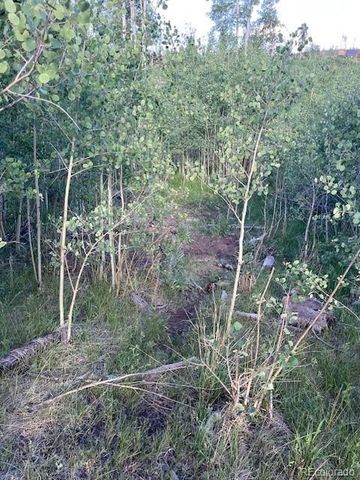 968 Hunington Lane, Fort Garland, CO 81133