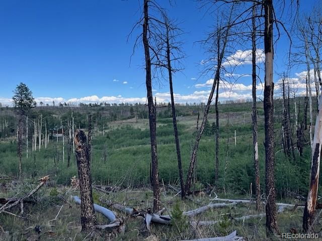 968 Hunington Lane, Fort Garland, CO 81133