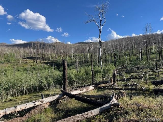 968 Hunington Lane, Fort Garland, CO 81133