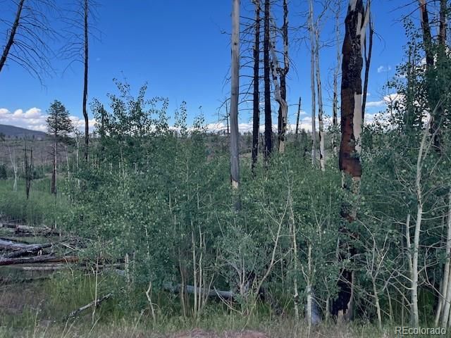 968 Hunington Lane, Fort Garland, CO 81133