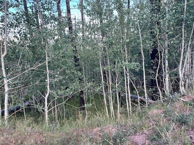 968 Hunington Lane, Fort Garland, CO 81133