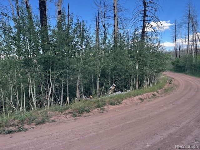 968 Hunington Lane, Fort Garland, CO 81133