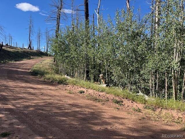 968 Hunington Lane, Fort Garland, CO 81133