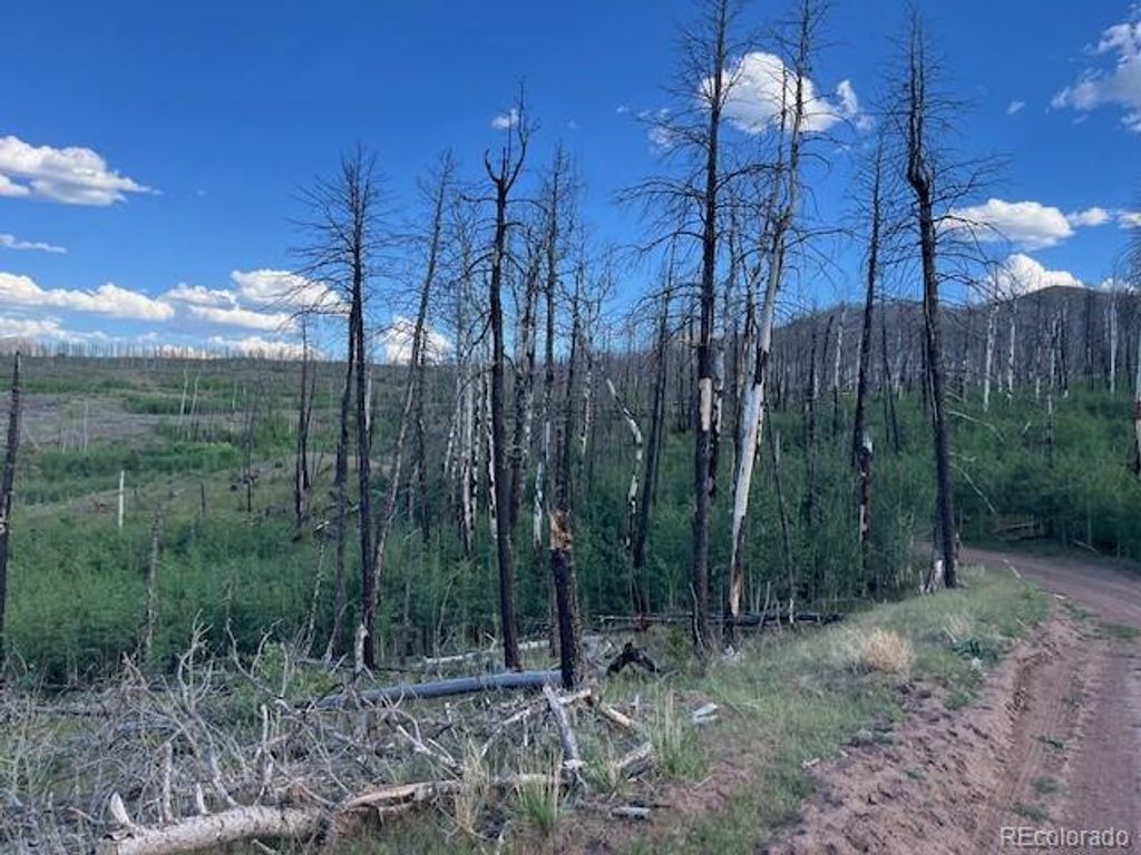968 Hunington Lane, Fort Garland, CO 81133