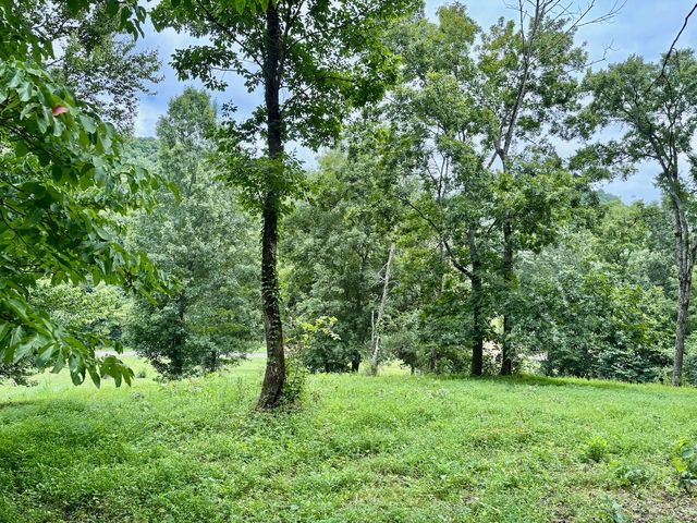 564 Dry Branch Road, Dixon Springs, TN 37057