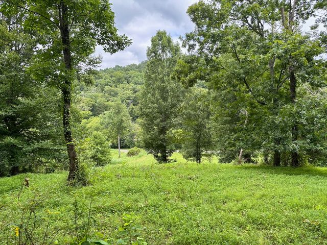 564 Dry Branch Road, Dixon Springs, TN 37057