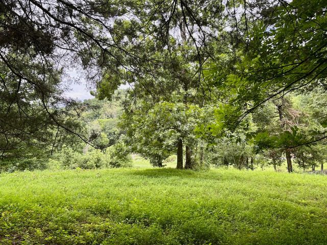 564 Dry Branch Road, Dixon Springs, TN 37057