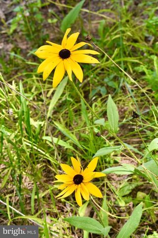 9600 RITTER RD, Nokesville, VA 20181