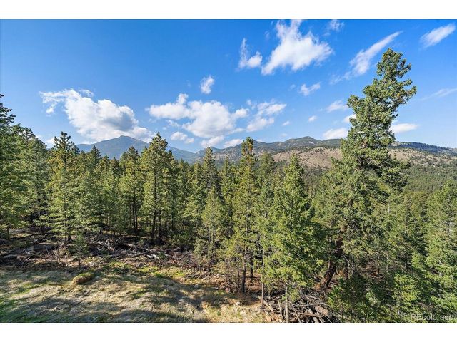 33884 Bergen View Trl, Evergreen, CO 80439