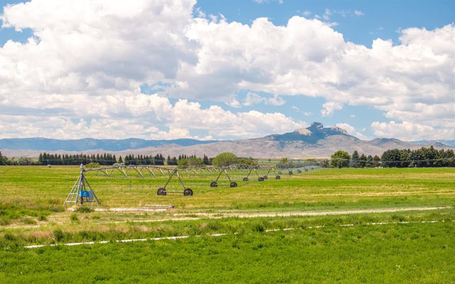 TBD Hwy 294, Powell, WY 82435
