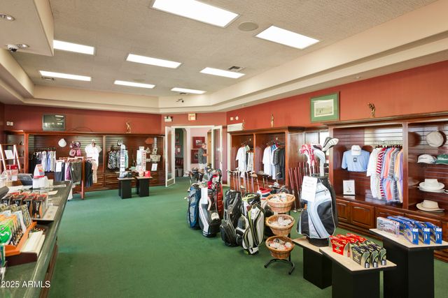 9020 E CEDAR WAXWING Drive, Sun Lakes, AZ 85248