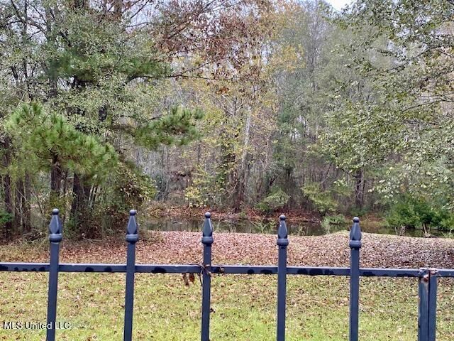 127 Butler Creek Drive, Florence, MS 39073