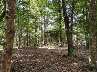 TBD River Road North, Summit, MS 39666