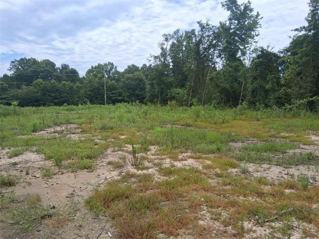 0 Old Highway 43, Mount Vernon, AL 36560 — photo 2