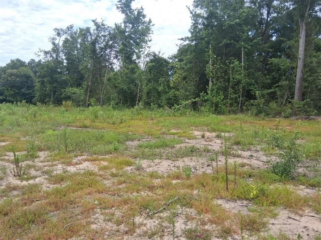 0 Old Highway 43, Mount Vernon, AL 36560 — photo 3