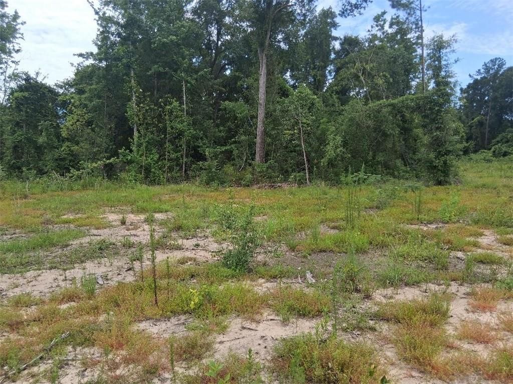 0 Old Highway 43, Mount Vernon, AL 36560 — photo 4