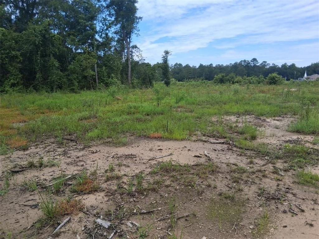 0 Old Highway 43, Mount Vernon, AL 36560 — photo 5