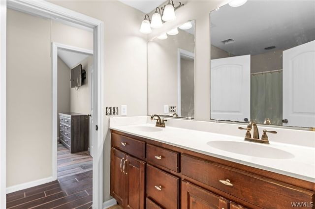 20737 Waters View, Mccalla, AL 35111