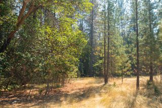 Pleasant Creek Road TL301, Rogue River, OR 97537
