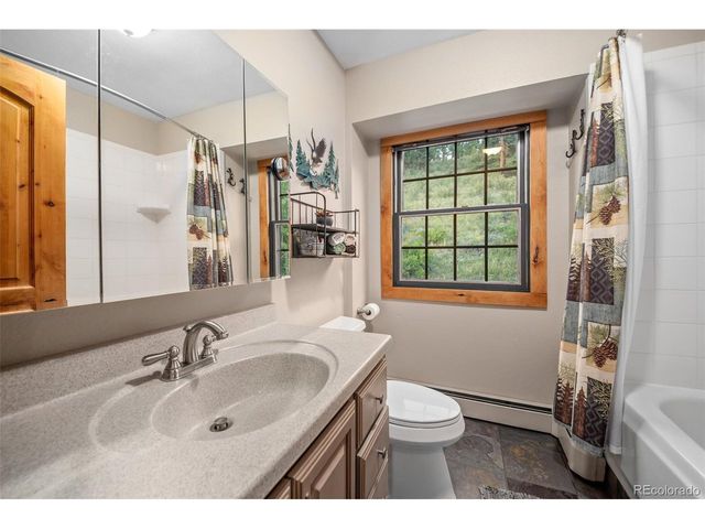 67 Thistle Trl, Idaho Springs, CO 80452