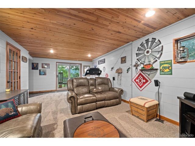 67 Thistle Trl, Idaho Springs, CO 80452