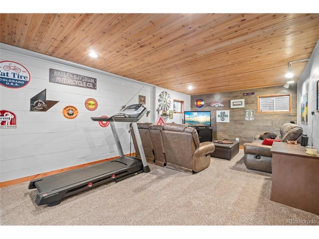 67 Thistle Trl, Idaho Springs, CO 80452