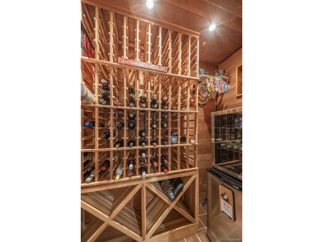 67 Thistle Trl, Idaho Springs, CO 80452