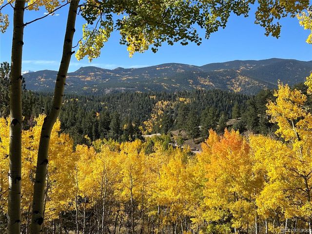 67 Thistle Trl, Idaho Springs, CO 80452