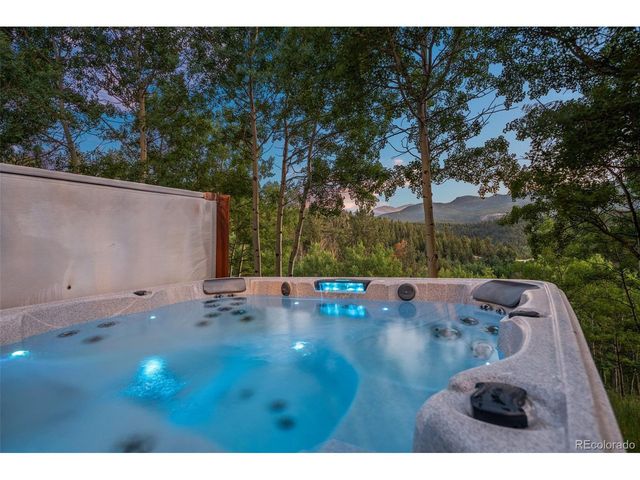 67 Thistle Trl, Idaho Springs, CO 80452