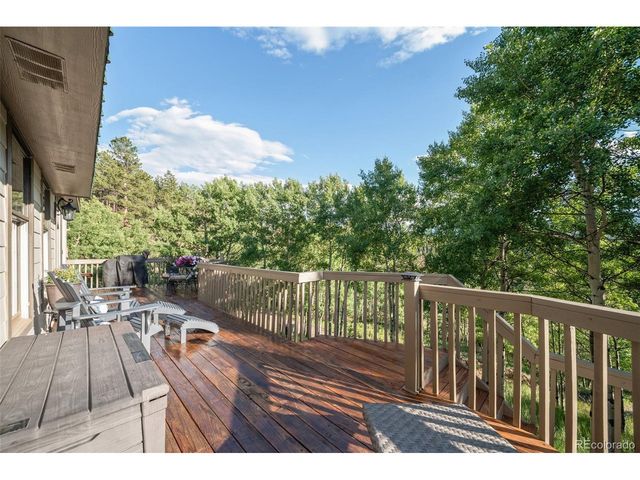 67 Thistle Trl, Idaho Springs, CO 80452