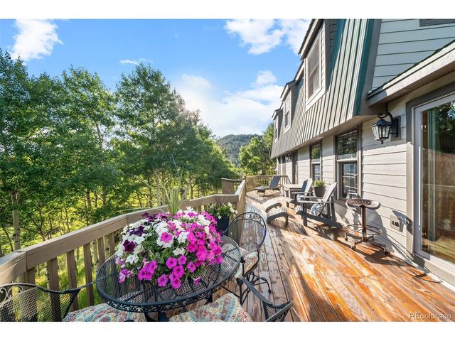 67 Thistle Trl, Idaho Springs, CO 80452