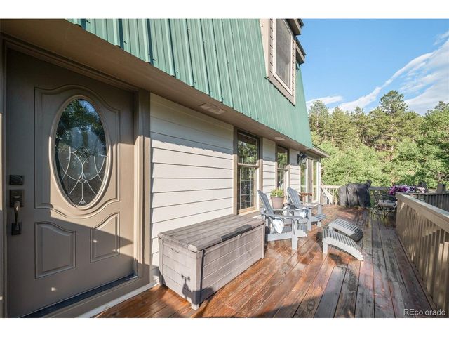67 Thistle Trl, Idaho Springs, CO 80452