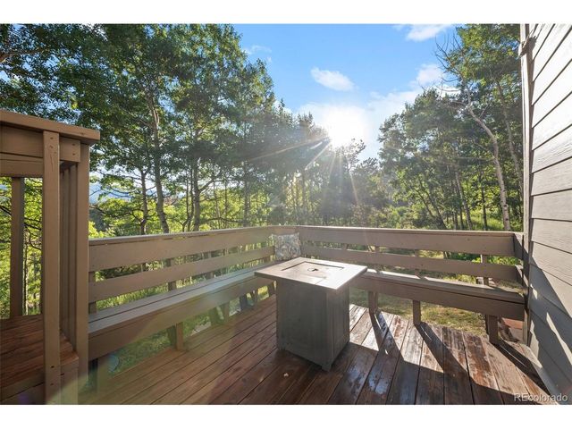 67 Thistle Trl, Idaho Springs, CO 80452